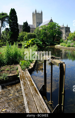 Wells Cathedral aus dem Gelände der Bischofspalast, Somerset, Großbritannien Stockfoto