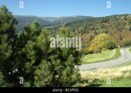 Herbstliche Landschaft des Col du Wettstein Elsass Frankreich Stockfoto