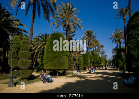 Einheimischen genießen Sie die Wintersonne im Parque Genoves in Cadiz Spanien Hinweis geformte Bäume Stockfoto