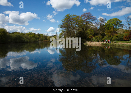 Den Garten See, Newstead Abbey, Nottinghamshire, England UK Stockfoto