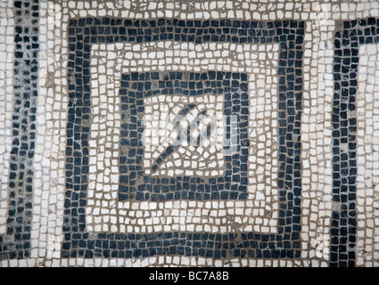 Poseidon-Neptun Trident in Mosaik auf dem Boden der Bäder Komplex Herculaneum Italien Stockfoto