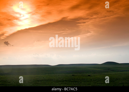 Konza Prairie biologische Station ist eine Domäne der native Tallgrass Prairie in Flint Hills des nordöstlichen Kansas USA Stockfoto