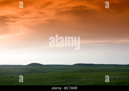 Konza Prairie biologische Station ist eine Domäne der native Tallgrass Prairie in Flint Hills des nordöstlichen Kansas USA Stockfoto