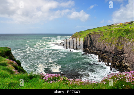 Felsige Küste auf der Dingle-Halbinsel in Irland Stockfoto