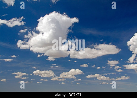 Blauer Himmel und Cumulus Wolken über Wyoming USA Stockfoto