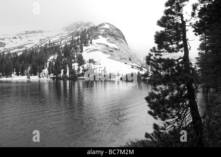 Sommer-Schnee-Sturm, Lower Cathedral Lake Stockfoto