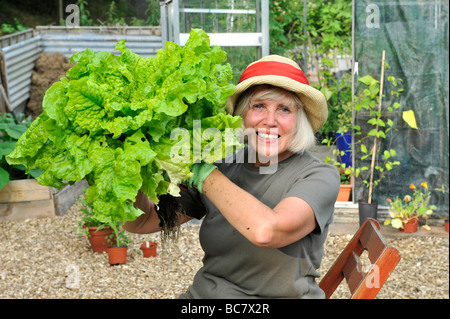 Ein weibliche britische Gärtner hält einen riesigen Salat angebaut in Hochbeeten, uk Stockfoto