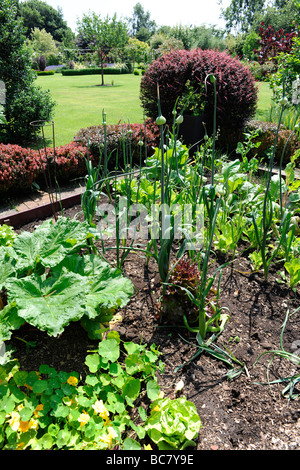 Gemüsegarten-plots in einem angelegten englischen Garten im Stoberry Park, Somerset, UK Stockfoto