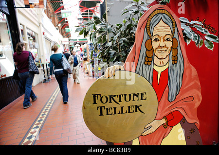 Wahrsagerin stall in South City Market aka George s Street Arcade in Dublin Irland Stockfoto