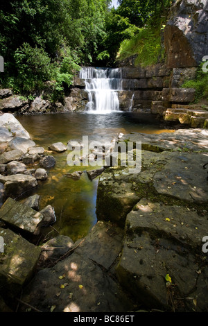 Wasserfall auf Bogen Lee Beck Bowlees Teesdale England Stockfoto