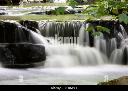 Wasserfälle auf Bogen Lee Beck Bowlees Teesdale England Stockfoto