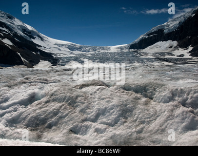 Athabasca Gletscher, Columbia Icefield, Alberta Kanada genommen auf dem Gletscher Stockfoto