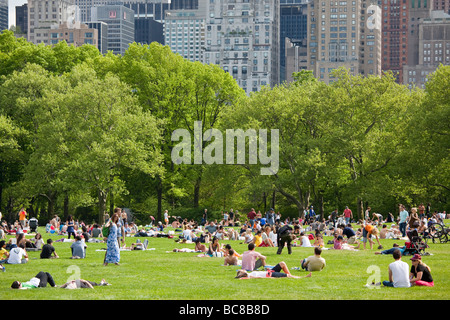 Sheep Meadow im Central Park in New York City Stockfoto