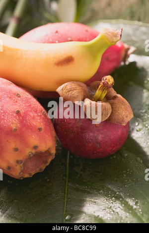 Mangostan, Feigenkakteen und Banane auf Blatt- Stockfoto