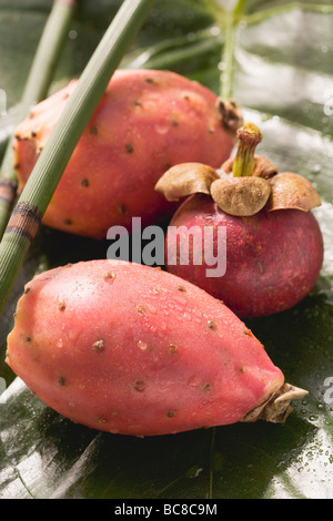 Mangostan und Kaktusfeigen auf Blatt- Stockfoto