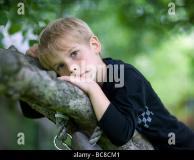 ein 6 Jahre alter Junge ruht auf einem Baum Stockfoto