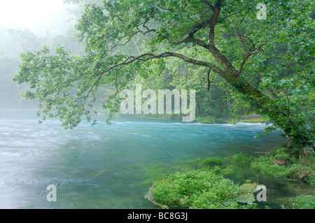 Wasser aus unterirdischen Frühling in den frühen Morgenstunden mit Nebel steigt aus dem Wasser Stockfoto