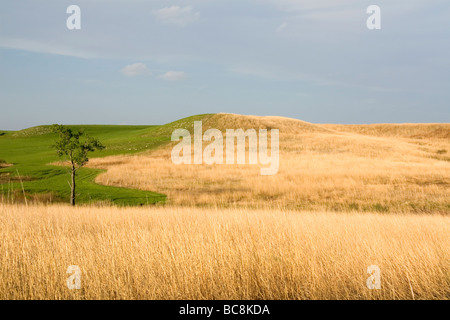 Konza Prairie biologische Station ist eine Domäne der native Tallgrass Prairie in Flint Hills des nordöstlichen Kansas USA Stockfoto