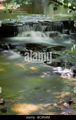 Wasserfälle auf Bogen Lee Beck Bowlees Teesdale England Stockfoto