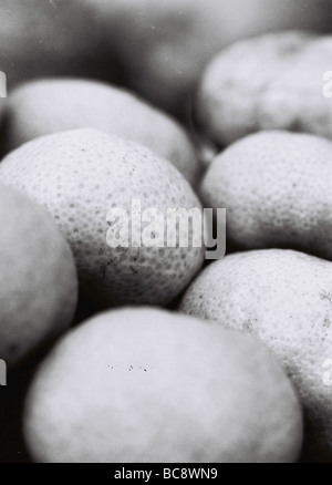 näher und Graini betrachten Mandarina orange Stockfoto