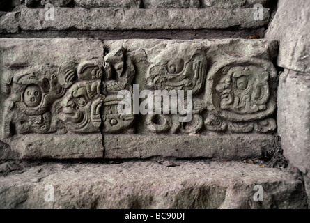 GLYPHEN erzählt Maya-Kultur und Geschichte auf HIEROGLYPHISCHE Treppe der Struktur 26 AD 755 COPAN Ruinen HONDURAS Stockfoto