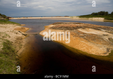 Lagune am South West Rocks Stockfoto