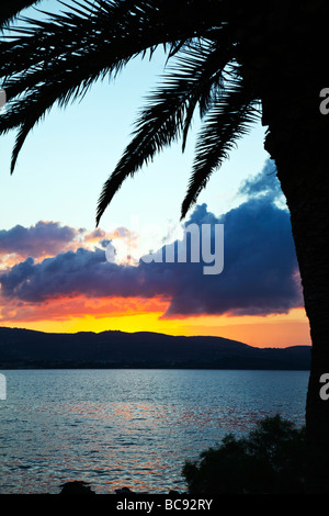 Sonnenuntergang fällt auf Argostoli in Kefalonia, griechische Insel, tropische Aussicht über den Hafen, Palmen Stockfoto