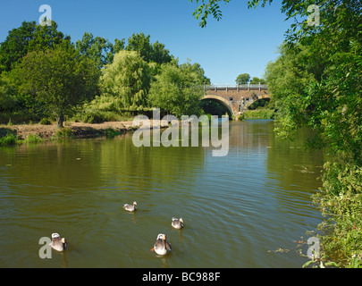 Eisenbahnviadukt über den Fluss Medway. Haysden Country Park, Tonbridge, Kent, England, UK. Stockfoto