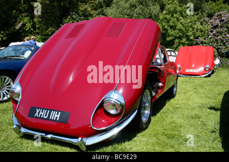 e Typ Jaguar Motorhaube Stockfoto