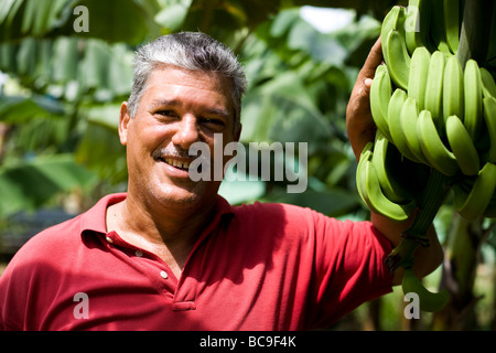 Fairtrade-Bananen Bauer, Dominikanische Republik Stockfoto