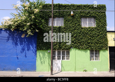 Bunte Wände in Tlaquepaque, Mexiko Stockfoto