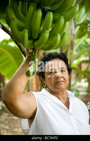 Fair Trade Bananen Bauer, Dominikanische Republik, in der Nähe der Grenze zu Haiti. Stockfoto