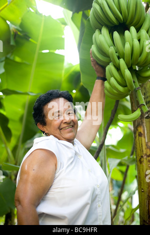 Fair Trade Bananen Bauer, Dominikanische Republik, in der Nähe der Grenze zu Haiti. Stockfoto