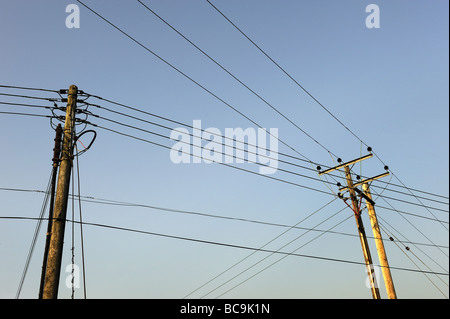 Strom und Telefon-Drähte, Shropshire Stockfoto