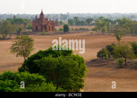 Blick über die Ebene von Bagan, Myanmar, mit einigen kleinen buddhistischen Tempeln und Palmen Stockfoto