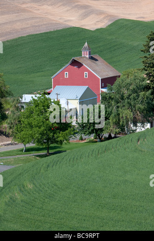 Whitman County, Palouse Land, südöstlichen US-Bundesstaat Washington. Rote Scheune, Bäume, Weizenfelder, sanften Hügeln. Stockfoto