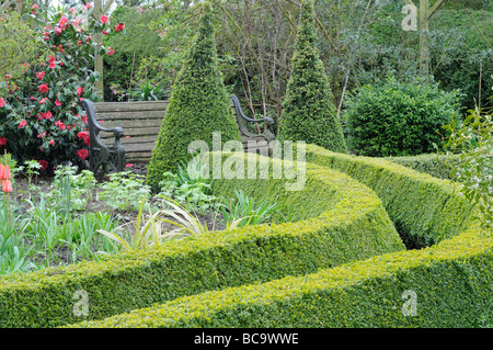 Weg zum Garten-Sitzplatz Pfad gesäumt mit getrimmten Box Absicherung in einem Frühling Garten UK April Stockfoto