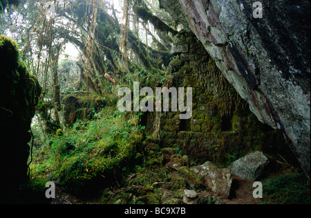 Eine unausgegrabenen Inka-Ruine auf dem Trail nach MACHU PICCHU gibt das Gefühl der ersten Entdeckung PERU Stockfoto