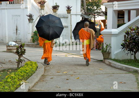 Buddhistische Mönche wandern mit Sonnenschirme durch ihre Tempelgelände in Luang Prabang Laos Stockfoto