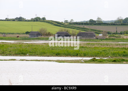 Cley Norfolk Wildlife Trust reservieren Daukes Hide UK Mai Stockfoto