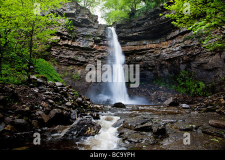 Hardraw Kraft angeblich Englands höchste Freefall Wasserfall obere Wensleydale Yorkshire Dales National Park Stockfoto