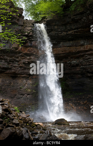 Hardraw Kraft angeblich Englands höchste Freefall Wasserfall obere Wensleydale Yorkshire Dales National Park Stockfoto