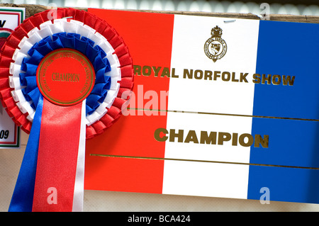 Royal Norfolk zeigen Meister rosette Display Card Stockfoto