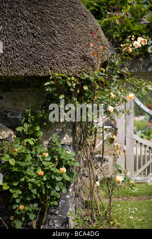 Stone strohgedeckten Hütte Stockfoto