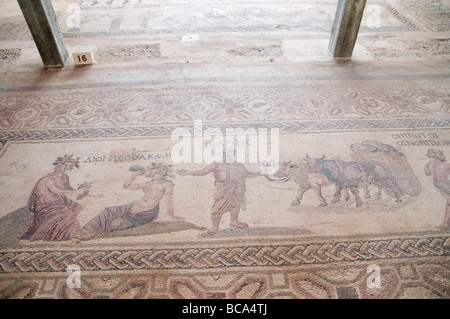 Zypern Paphos archäologische Stätte das Haus des Dionysos Stockfoto