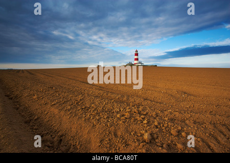 Einen frühen Sommermorgen bei Happisburgh zeigt es s unverwechselbare rot-weiß gestreifte Leuchtturm Stockfoto