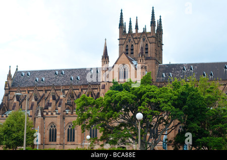 Str. Marys Kathedrale, Sydney, NSW, Australien Stockfoto