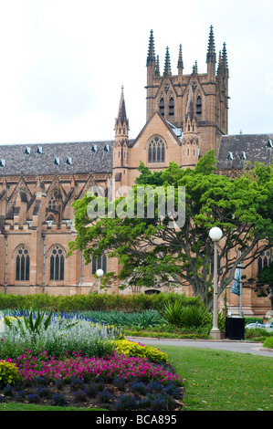 Str. Marys Kathedrale, Sydney, NSW, Australien Stockfoto