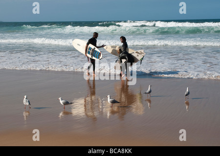 Surfer am Manly beach South Steyne Sydney NSW Australia Stockfoto