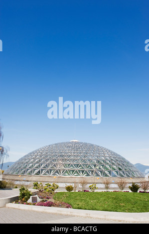 Bloedel Floral Conservatory Arboretum im Queen Elizabeth Park Vancouver British Columbia Kanada Stockfoto